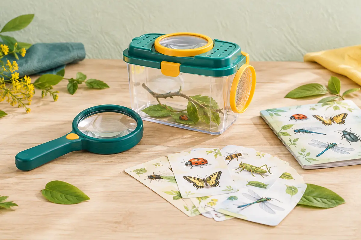 Kit d’observation des insectes avec loupe, boîte et fiches illustrées posé sur du bois clair.