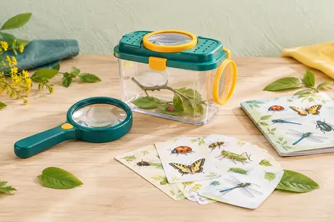 Kit d’observation des insectes avec loupe, boîte et fiches illustrées posé sur du bois clair.