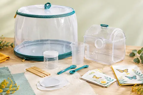 Kit d’élevage transparent avec dôme, maison pour chenilles et accessoires disposés sur du bois clair.